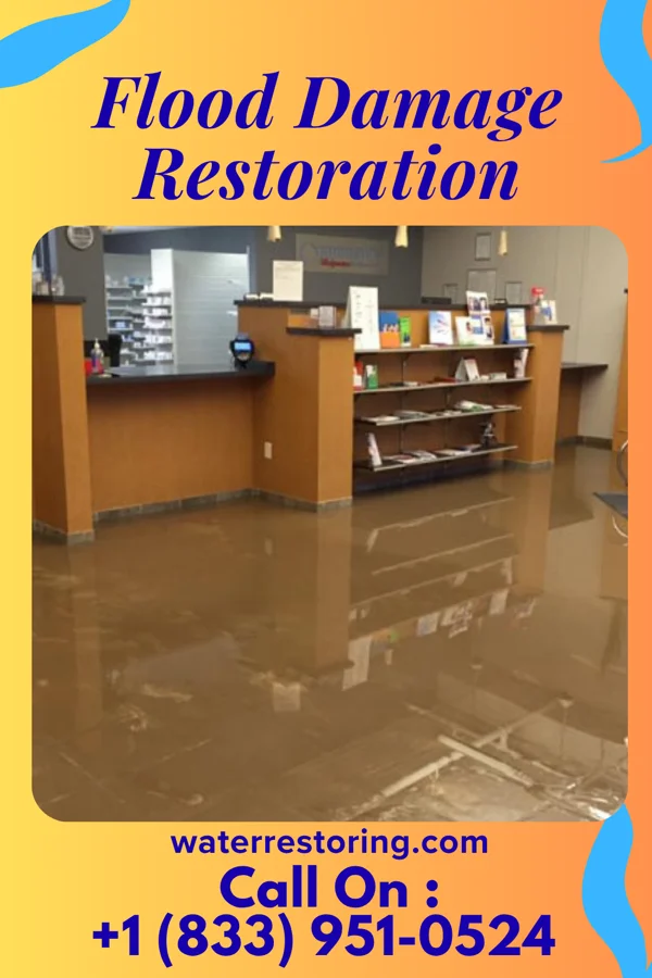 Flood Damage Restoration in Gatesville, NC