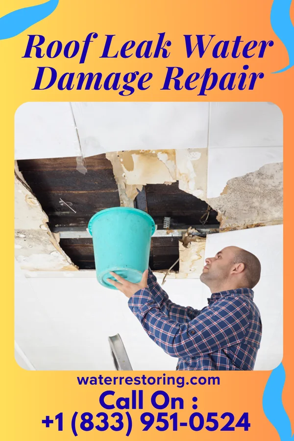 Roof Leak Water Damage Repair in Gatesville, NC
