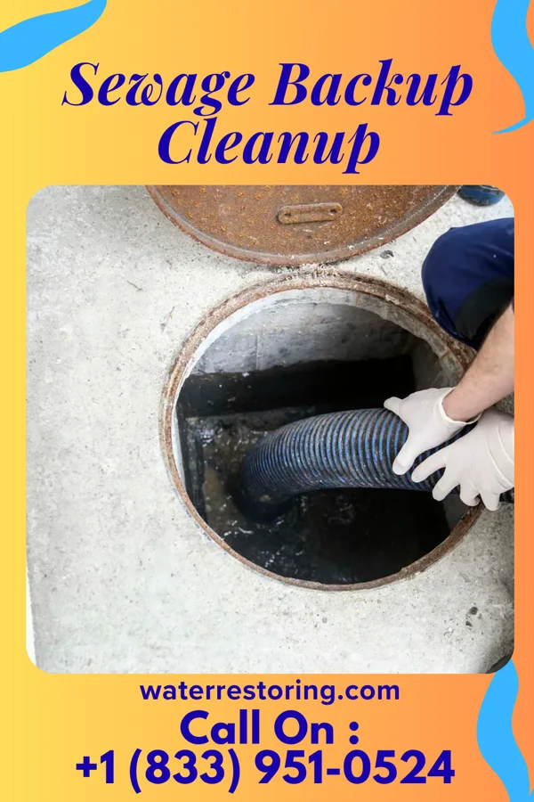Sewage Backup Cleanup in Gatesville, NC